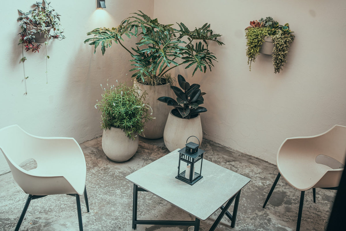 Terraza privada con plantas y zona de descanso, Apartamento SATORI, Casa Mitho